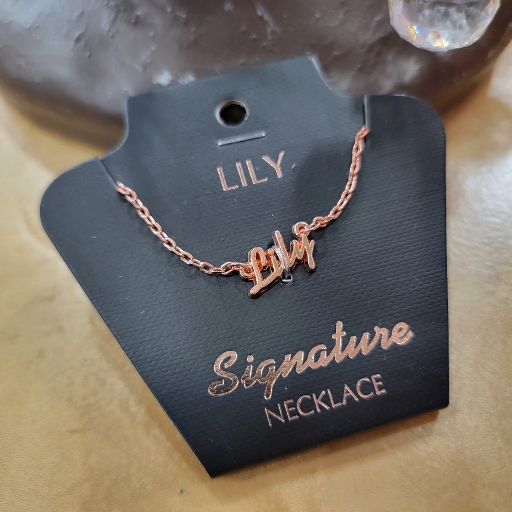 LILY Personalized Name Necklace in Rose Gold